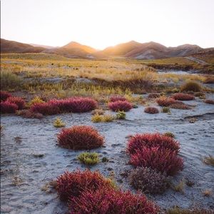 Meet your Posher, Adam